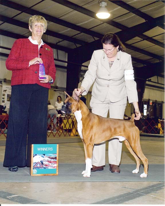 National Kennel Club